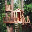 Growing up I always dreamed of having the ultimate tree fort where I could hang out until my hearts content. Now that Pinterest has come along, there are plenty of...