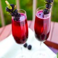 Champagne Recipes for the New Year When the ball drops tonight – millions of us will raise our glasses to toast the New Year. But, your bubbly doesn’t have to wait until midnight to make it’s...