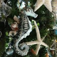 A Coastal Christmas For those of us decorating in Vero Beach, FL and across the coastlines of the world – we can have a lot of fun incorporating costal decor into our holiday...