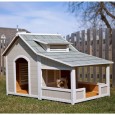 Dogs are mans best friend and being his best friend, we tend to treat our pets like family, our own fur babies.   Some of us let our dogs stay outside,...