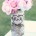 You Might Also Like...Fabulous Baby And Wedding Shower CenterpiecesDesigns For Coastal Patios and Porches