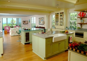 Why Do I Need a Certified Kitchen Designer? | Dig This Design
