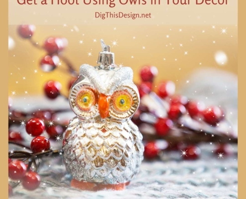 Get a Hoot Using Owls in Your Decor