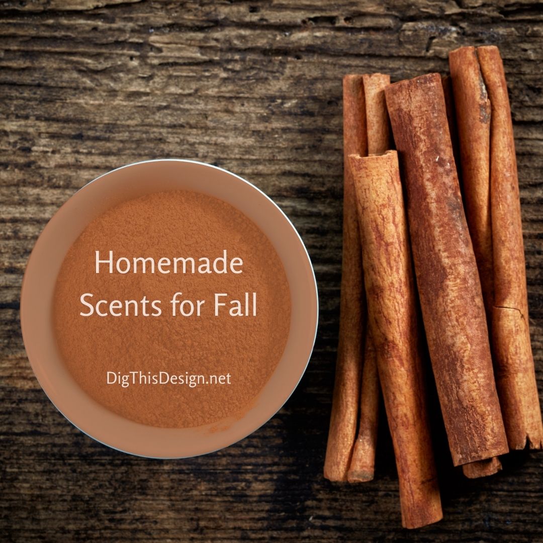 Homemade Scents for Fall