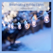 Breathtaking-Holiday-Lights-2