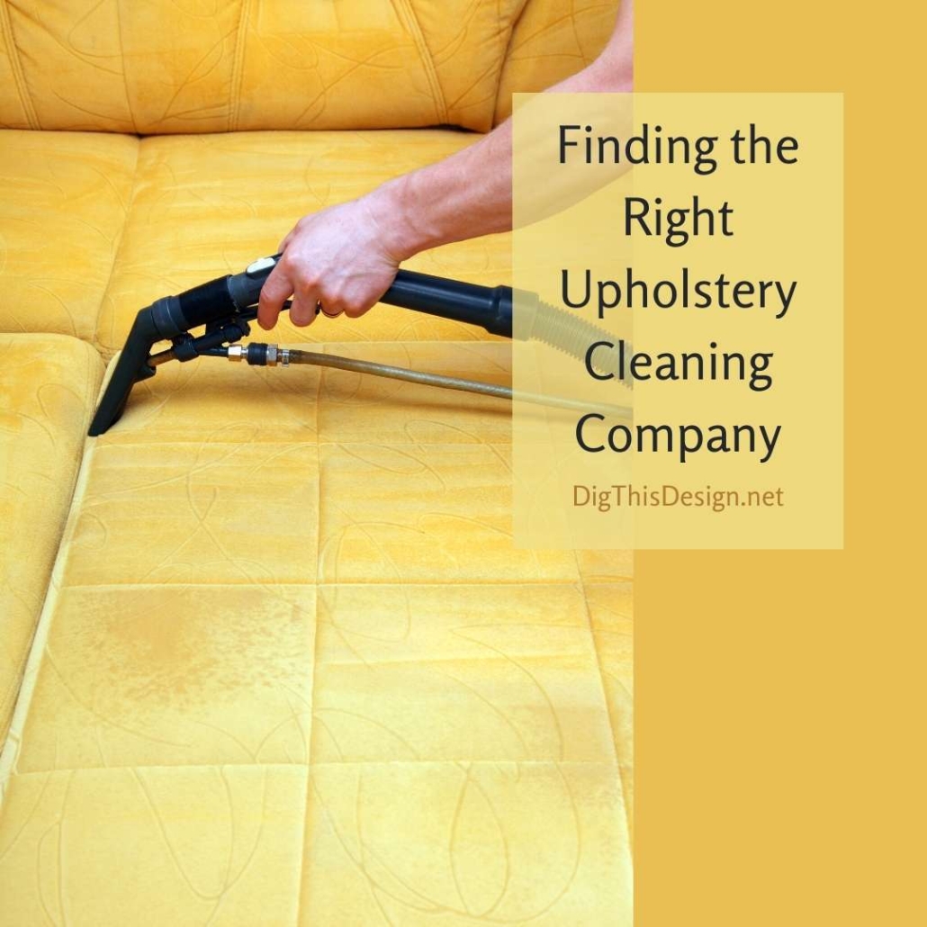 Upholstery Cleaning Dig This Design