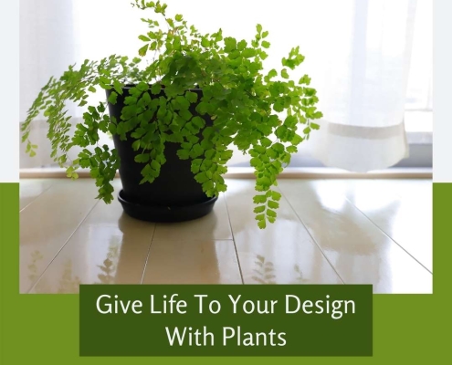 Give Life To Your Design With Plants