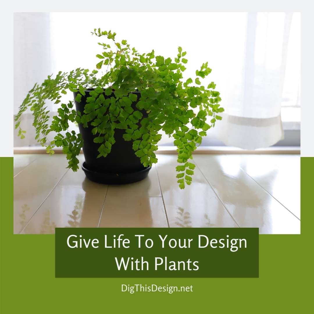 Give Life To Your Design With Plants