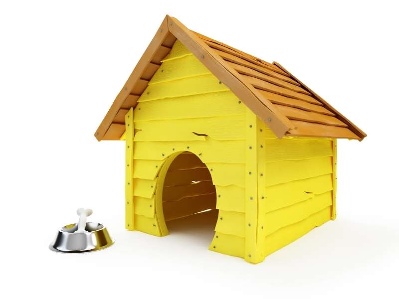 Dig Your Dog House Design