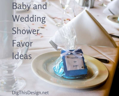 Baby and Wedding Shower Favor Ideas