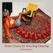 Green Choice for Area Rug Cleaning