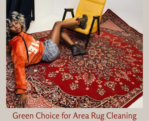 Green Choice for Area Rug Cleaning