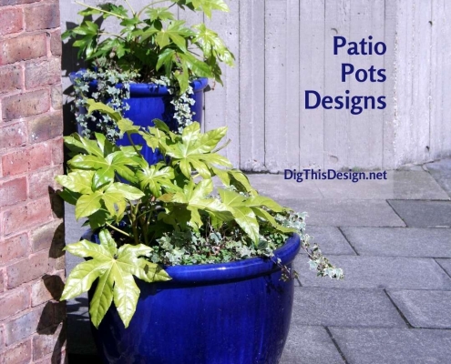 Patio Pots Designs
