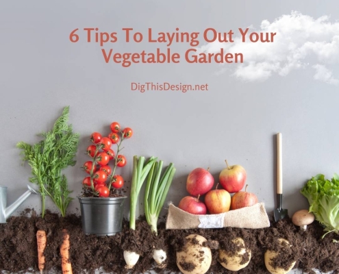 6 Tips To Laying Out Your Vegetable Garden