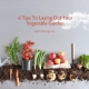 6 Tips To Laying Out Your Vegetable Garden