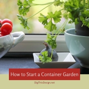 How to Start a Container Garden