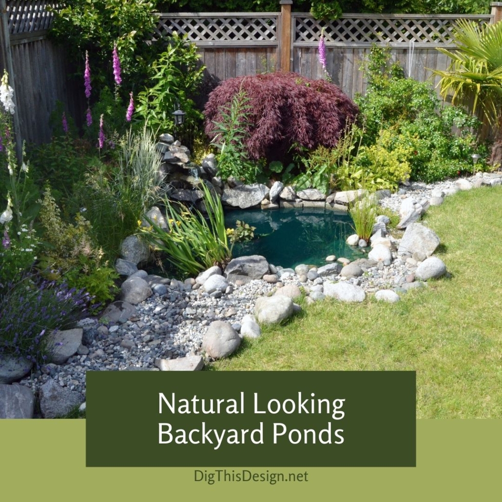 Natural Looking Backyard Ponds - Dig This Design