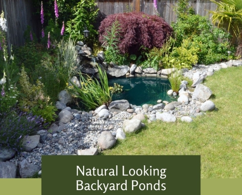 Natural Looking Backyard Ponds