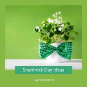 Shamrock Day Ideas