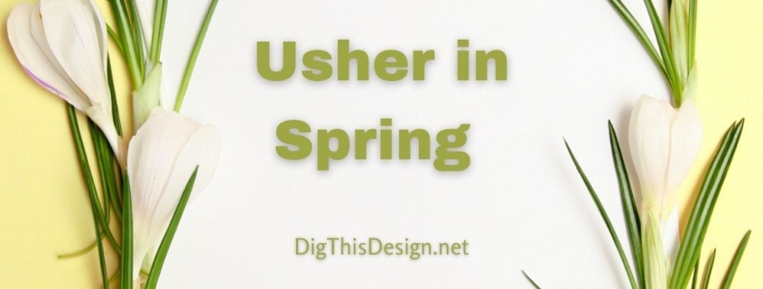 Usher in Spring