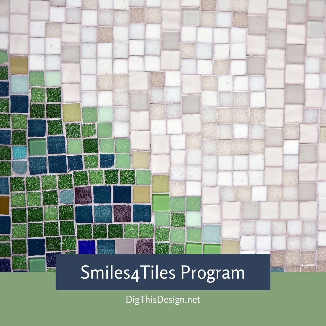 Smiles4Tiles Program