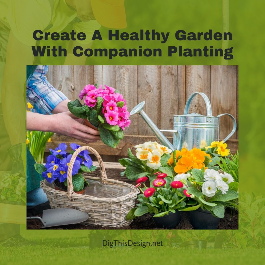 Create A Healthy Garden With Companion Planting