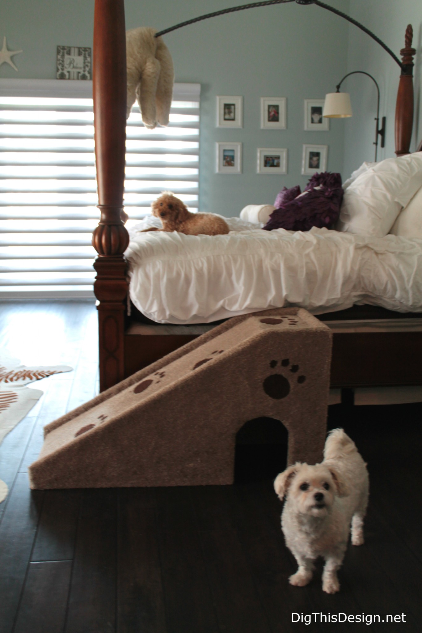 Dog best sale bed decor