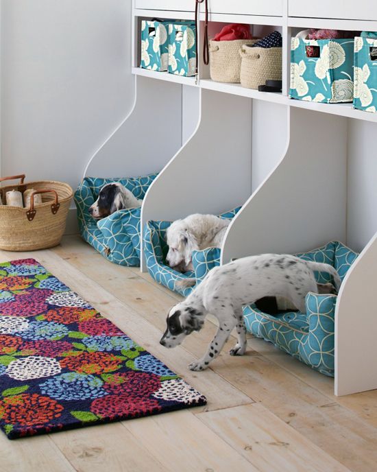 Room Décor That Intergrates Your Dogs Comforts; 10 Dog Bed Design Ideas