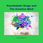 Psychedelic Drugs and The Creative Mind