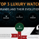 Top 3 luxury watch brands and their evolution, Rolex, Patek Philippe, and Omega infographic showing product progression throughout the years