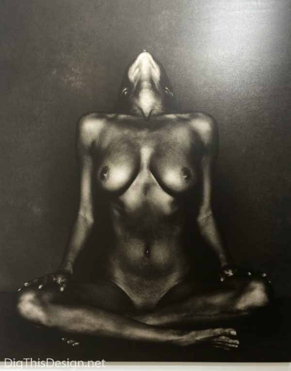 Contemporary fine art photography at Scope of Art Miami 2015 Alyssa Metallic Life Brian Bowen Smith