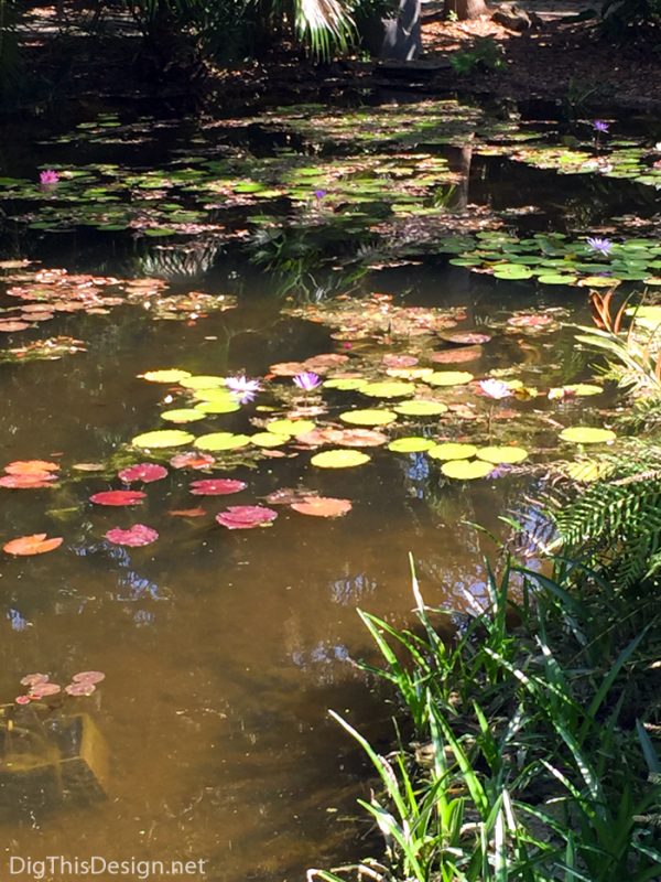 The lily pond at McKee Botanical Garden.