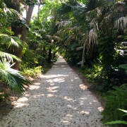 Path that runs throughout McKee Botanical Garden.