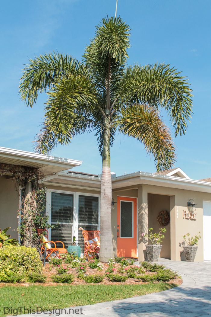 Front porch design project with new landscaping and foxtail palm tree as focal point.