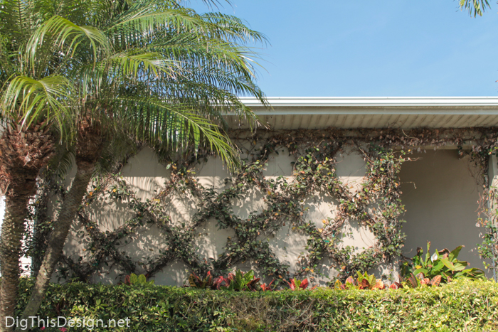 Garden trellis with jasmine vine for front porch design project.