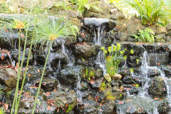 Natural water feature located at McKee Botanical Garden.