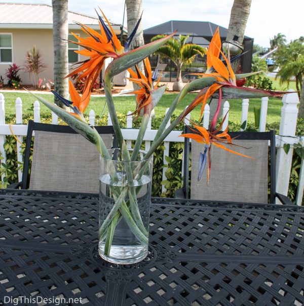 Flower décor showing birds of paradise in a tall vase.