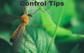 Helpful Pest Control Tips