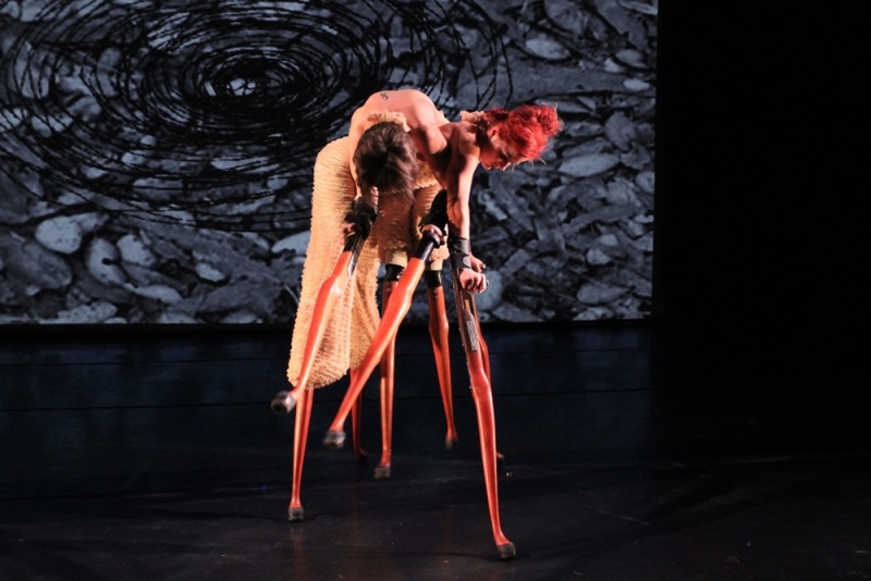 A Tribute to Lisa Bufano - A Performance Artist Despite Disabilities ...