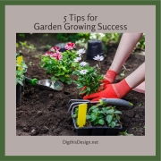 Garden Growing Success Starts From The Ground Up