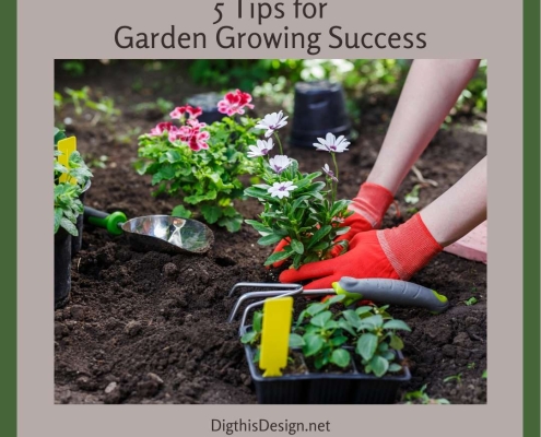 Garden Growing Success Starts From The Ground Up