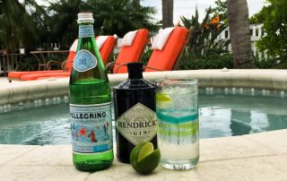 Labor Day Cocktails - Gin and Sparkling Water