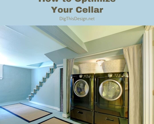 How to Optimize Your Cellar