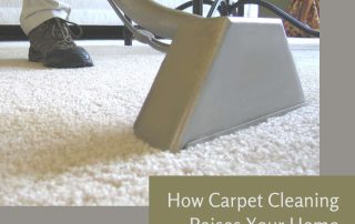 How Carpet Cleaning Raises Your Home Value