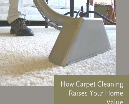 How Carpet Cleaning Raises Your Home Value