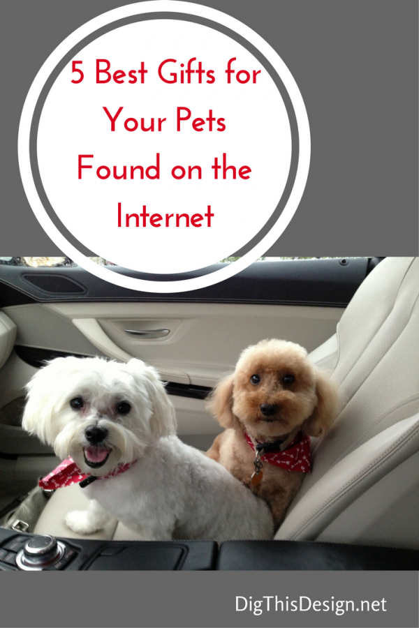 Shop pet gifts for your pet on the internet.