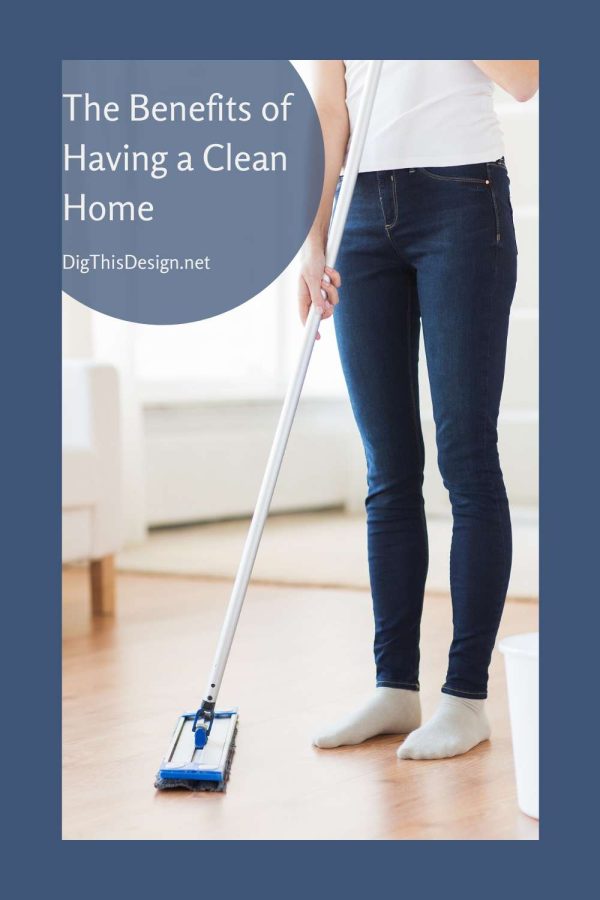 Reasons Why Clean Homes Are Necessary 