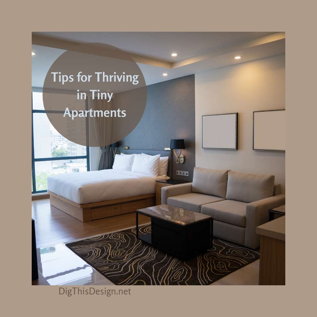 Tips for Thriving in Tiny Apartments