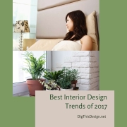 Best Interior Design Trends of 2017