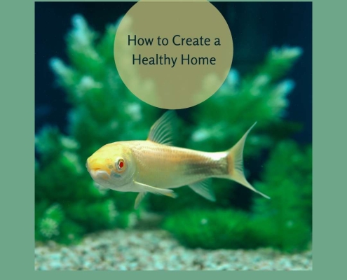 How to Create a Healthy Home